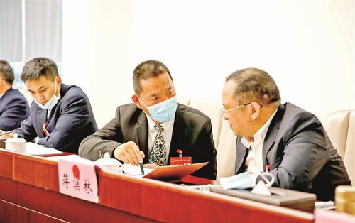 市七届人大一次会议宝安代表团分组审议 聚焦制造业高端转型与科技创新服务，共绘经济社会发展新蓝图