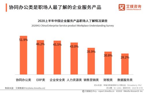 2020上半年中国企业服务发展全景报告 社会经济咨询服务市场解析